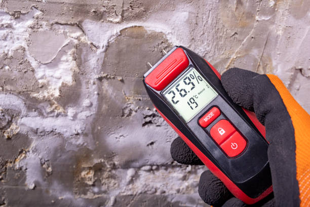 Best Mold Removal Company Near Me  in Rosemont, CA
