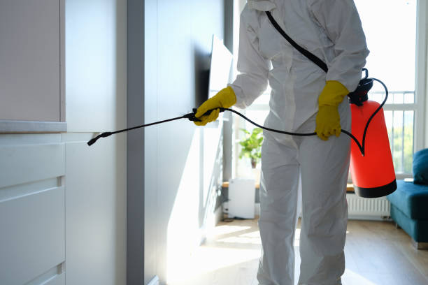 Best Toxic Mold Removal  in Rosemont, CA