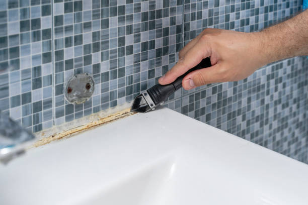 Best Mold Testing and Removal  in Rosemont, CA
