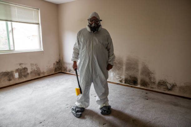 Best Professional Mold Removal  in Rosemont, CA